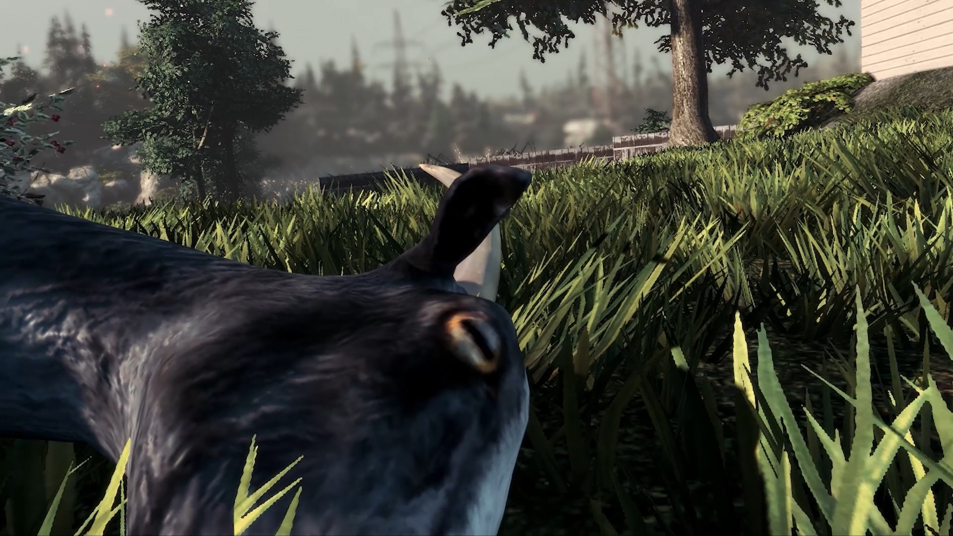 Goat Simulator Trailer