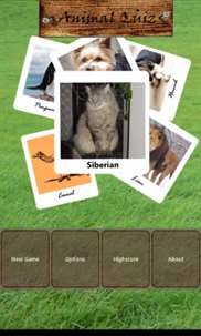 Animal Quiz screenshot 4