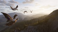 screenshot7