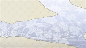 Swimsuit Bundle (16 costumes)