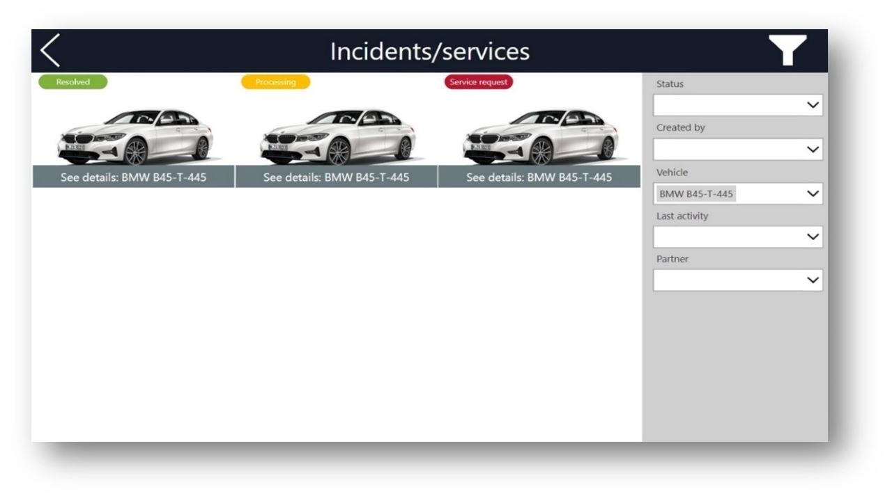 Snapshot 1 of Car Fleet Management Application