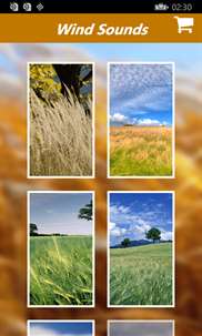 Wind Sounds:Soothing Sounds of wind Relaxation and Mind Therapy screenshot 1