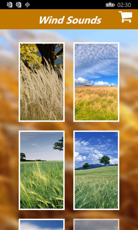 Wind Sounds:Soothing Sounds of wind Relaxation and Mind Therapy Screenshots 1