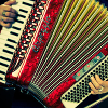 Accordion 10