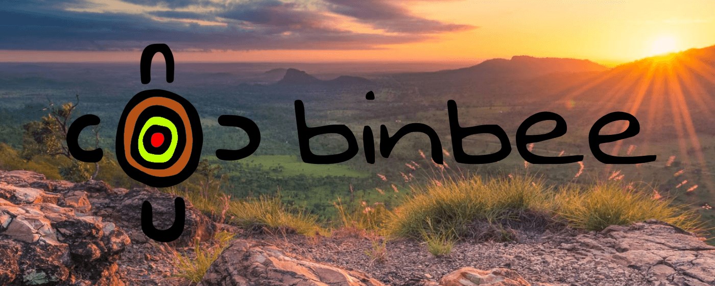Binbee School Search