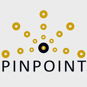 Pinpoint Memory Management System