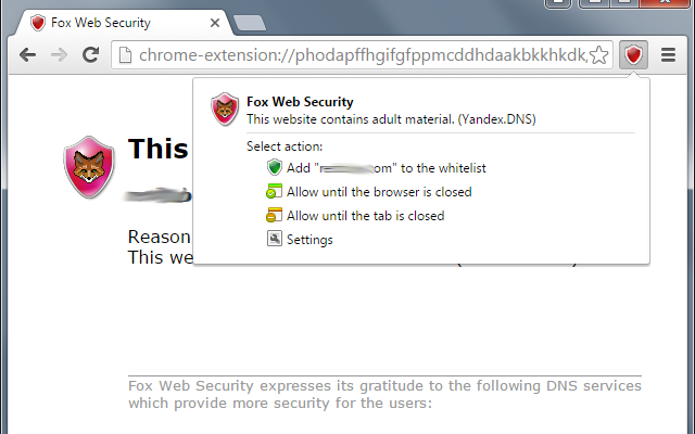 Fox Web Security