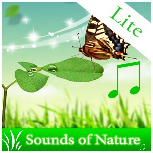 Ljudet av naturen +