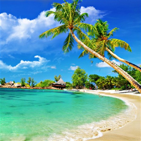 Beach desktop deals backgrounds