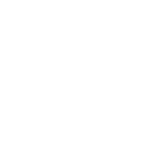 Seavus Project Viewer