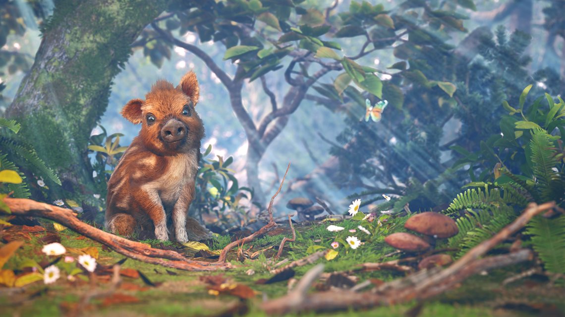 Adorable Adventures