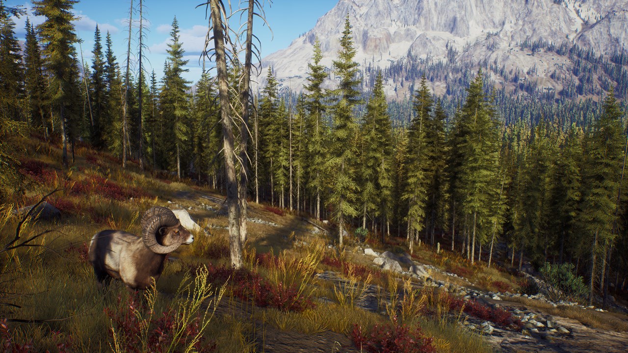 Way of the Hunter - Ultimate Edition screenshot 6