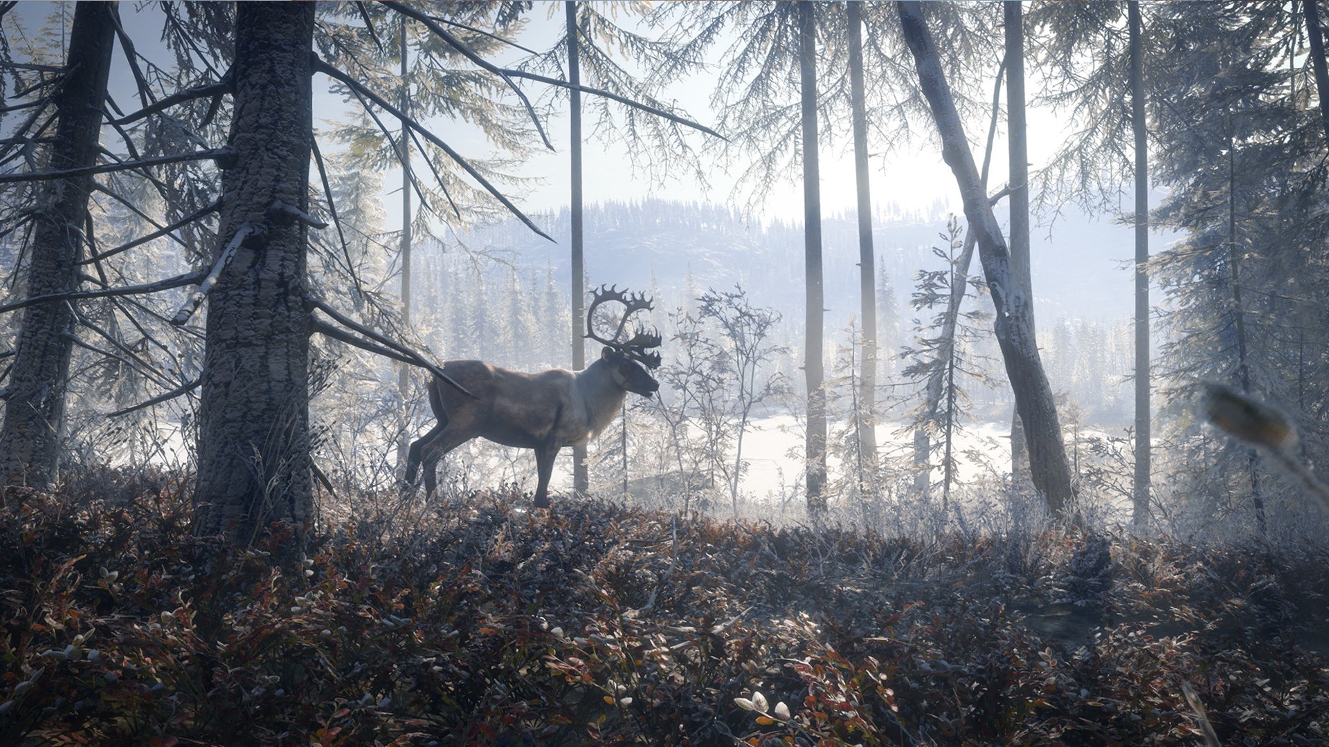 theHunter: Call of the Wild™ - Medved-Taiga - Windows 10 | Xbox | Chiave | Privato
