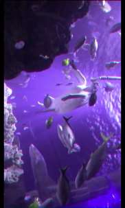 Aquarium Videos 3D screenshot 7