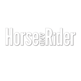 Horse & Rider