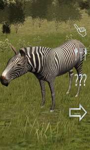 Kids Safari Tour screenshot 2