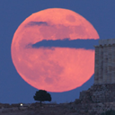 识别图片内的文字 icon