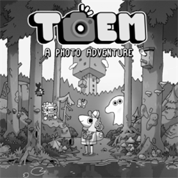 Aperçu TOEM