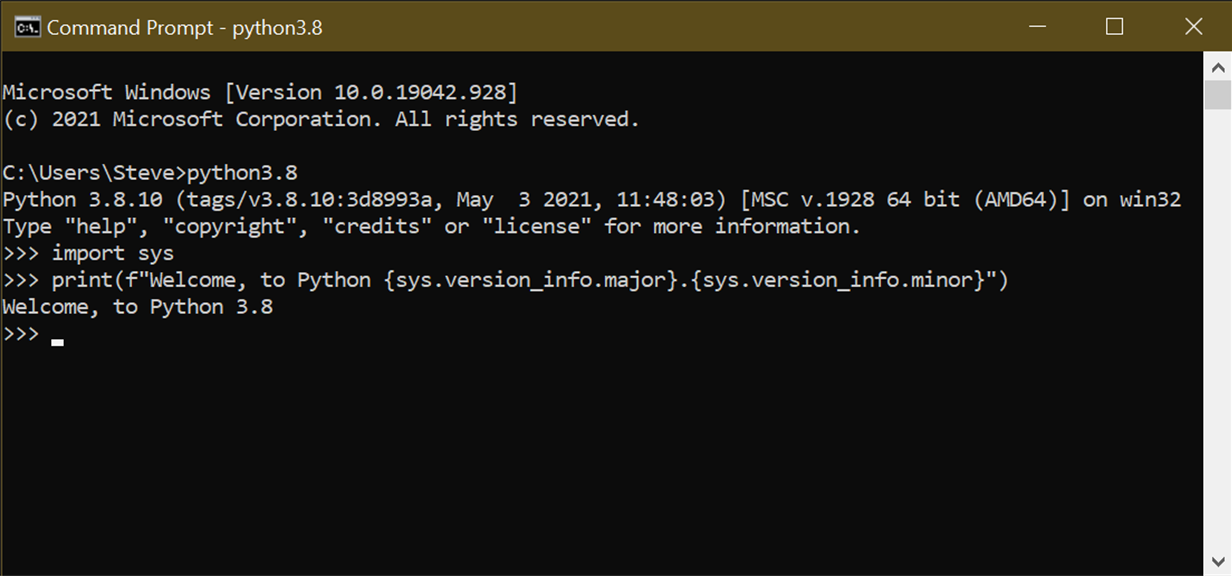 Python 3.8_1