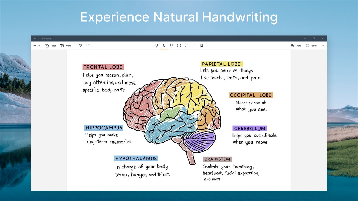 #1. Noteshelf (Windows) Podle: Fluid Touch Pvt Ltd