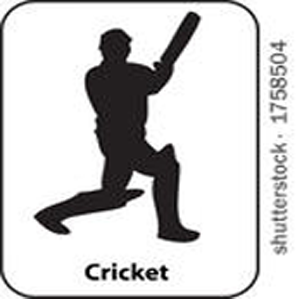 Cricbuzz download for windows 8