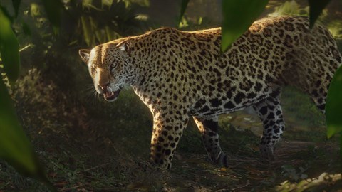 theHunter: Call of the Wild™ - Peru Hunting Reserve