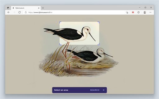 Search by Image: Ultimate Reverse Image Search Tool