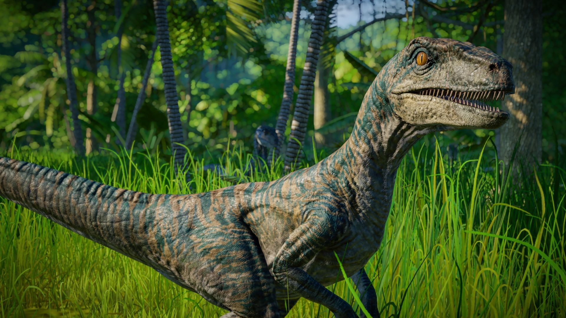 Велоцираптор. Jurassic World Evolution Велоцираптор Блю. Велоцераптор Дельта Jurassic World Evolution. Велоцераптор Jurassic World Evolution. Блю Раптор Jurassic World Evolution.