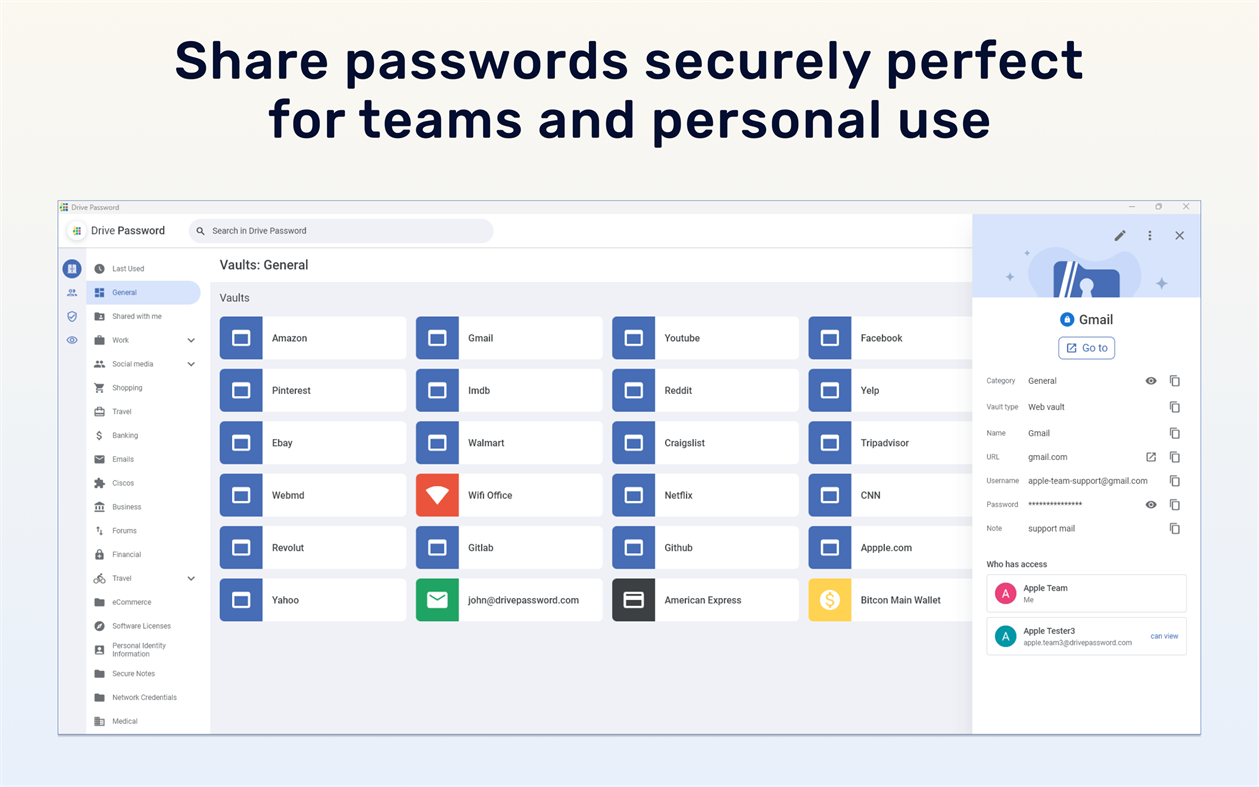 #5. DrivePassword - Password Manager (Windows) 来自: Promotino Ltd.
