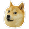 DogeDodge