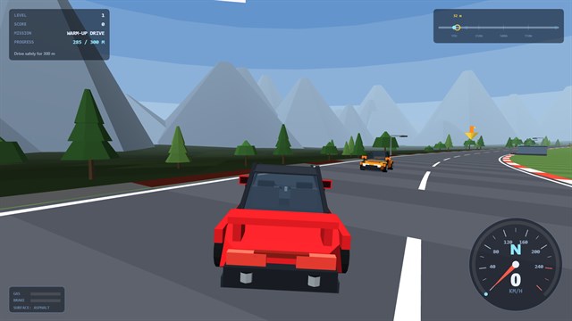 Driving Exercise screenshot 4