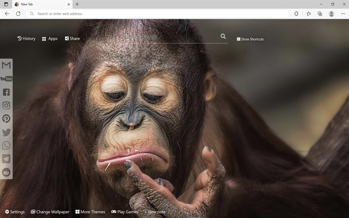 Monkey Wallpaper - Custom HD Monkey Background for New Tab