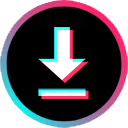 Tiktok Downloader & Analyzer icon