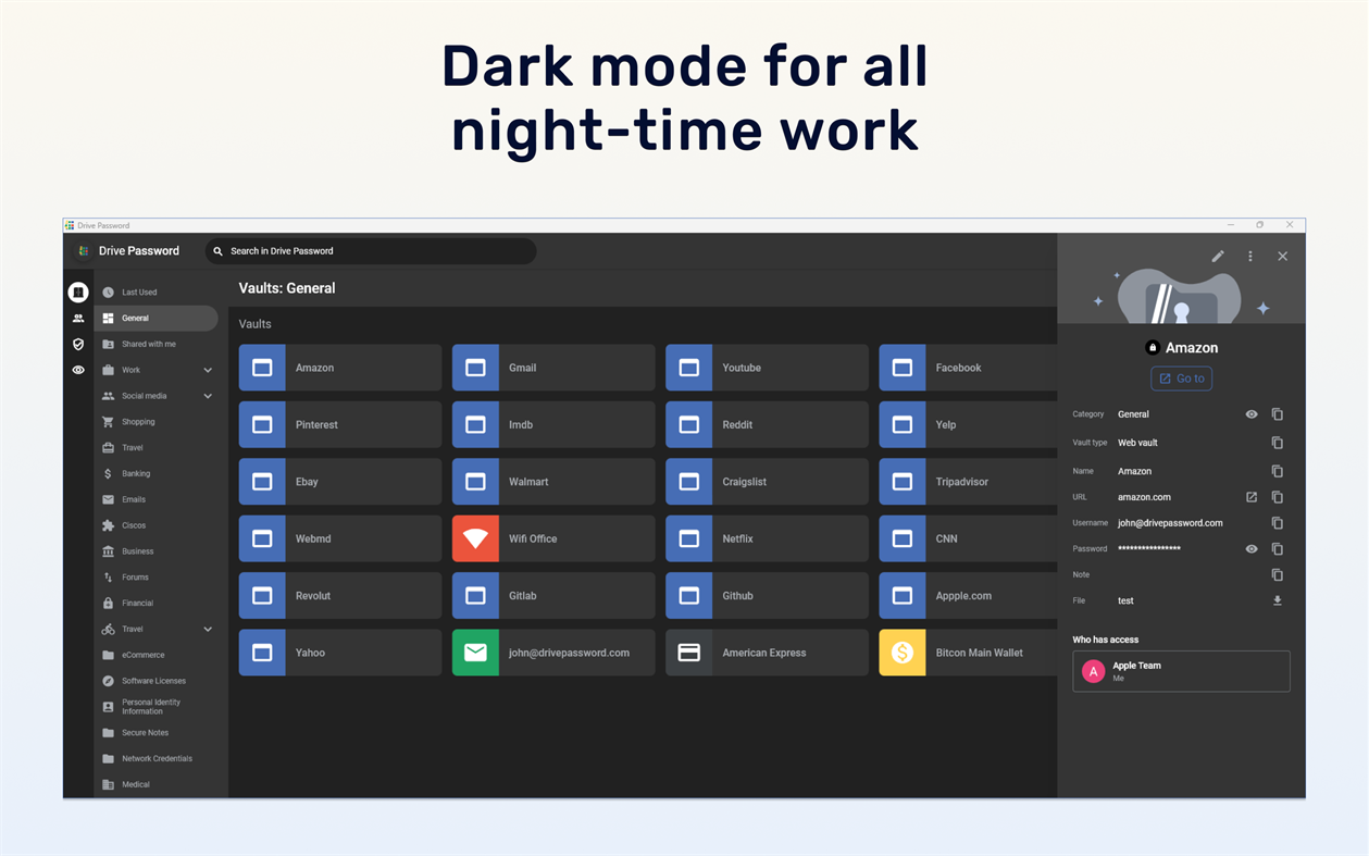 #8. DrivePassword - Password Manager (Windows) 来自: Promotino Ltd.