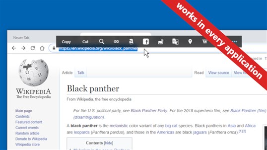 Pantherbar screenshot