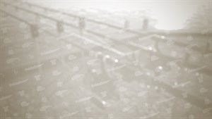 Fishing Sim World: Deluxe Edition Pack