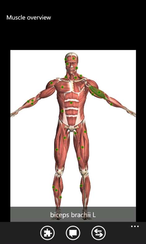 Visual Anatomy Lite Screenshots 2