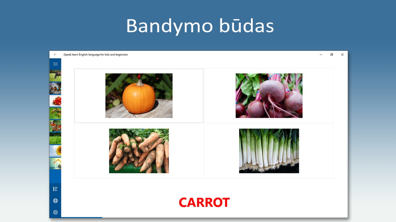 Programu sistemos angliskai