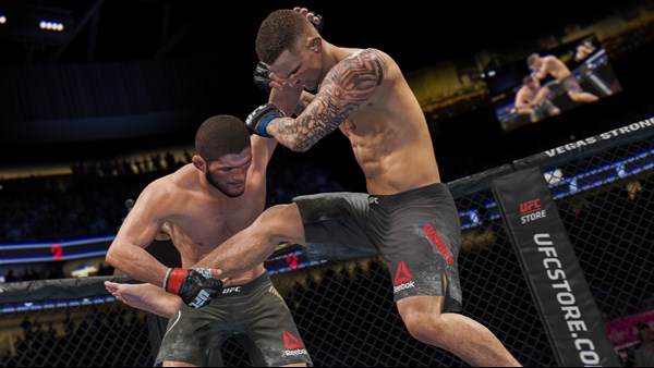 UFC® 4 — 5
