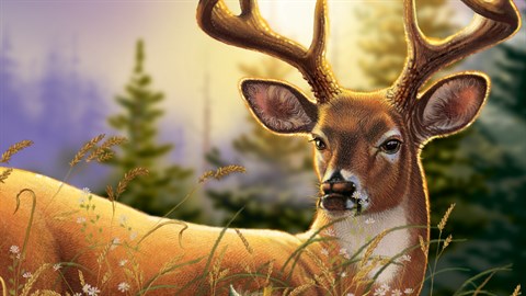 Big buck on sale hunter vr