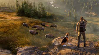 Way of the Hunter 2