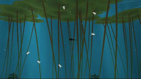 TaddyPole Screenshots 1