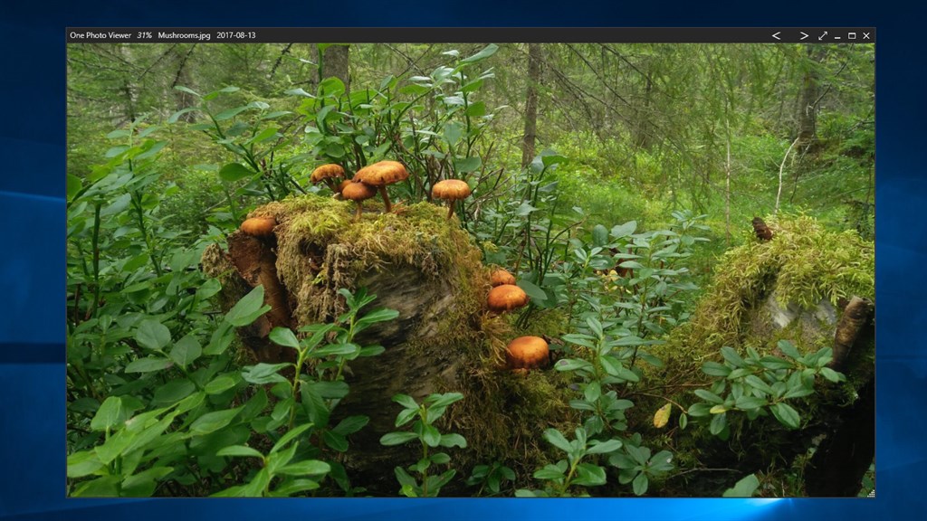 One Photo Viewer_1
