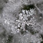 Frost Macros by Duncan Lawler