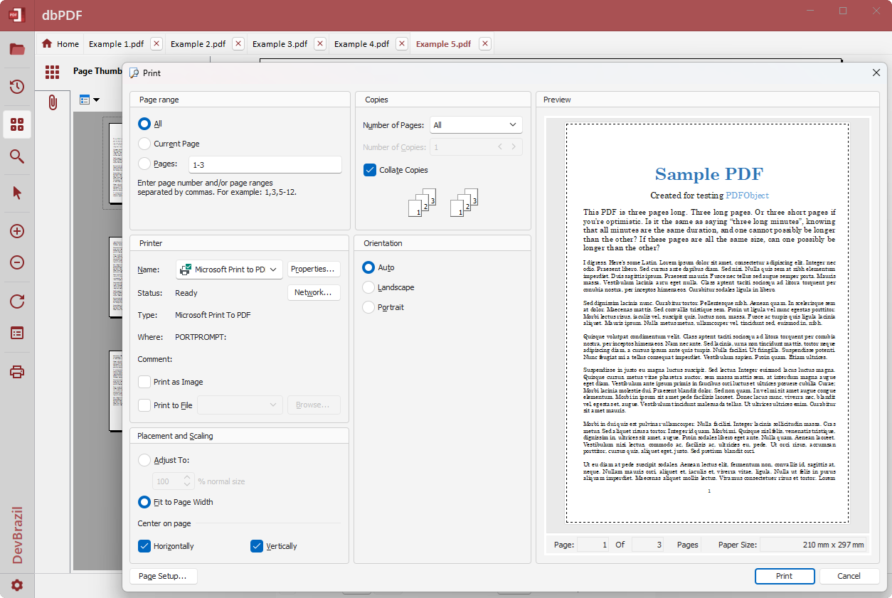 dbPDF screenshot