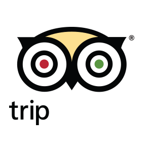 TripAdvisor Hotels Flights Restaurants