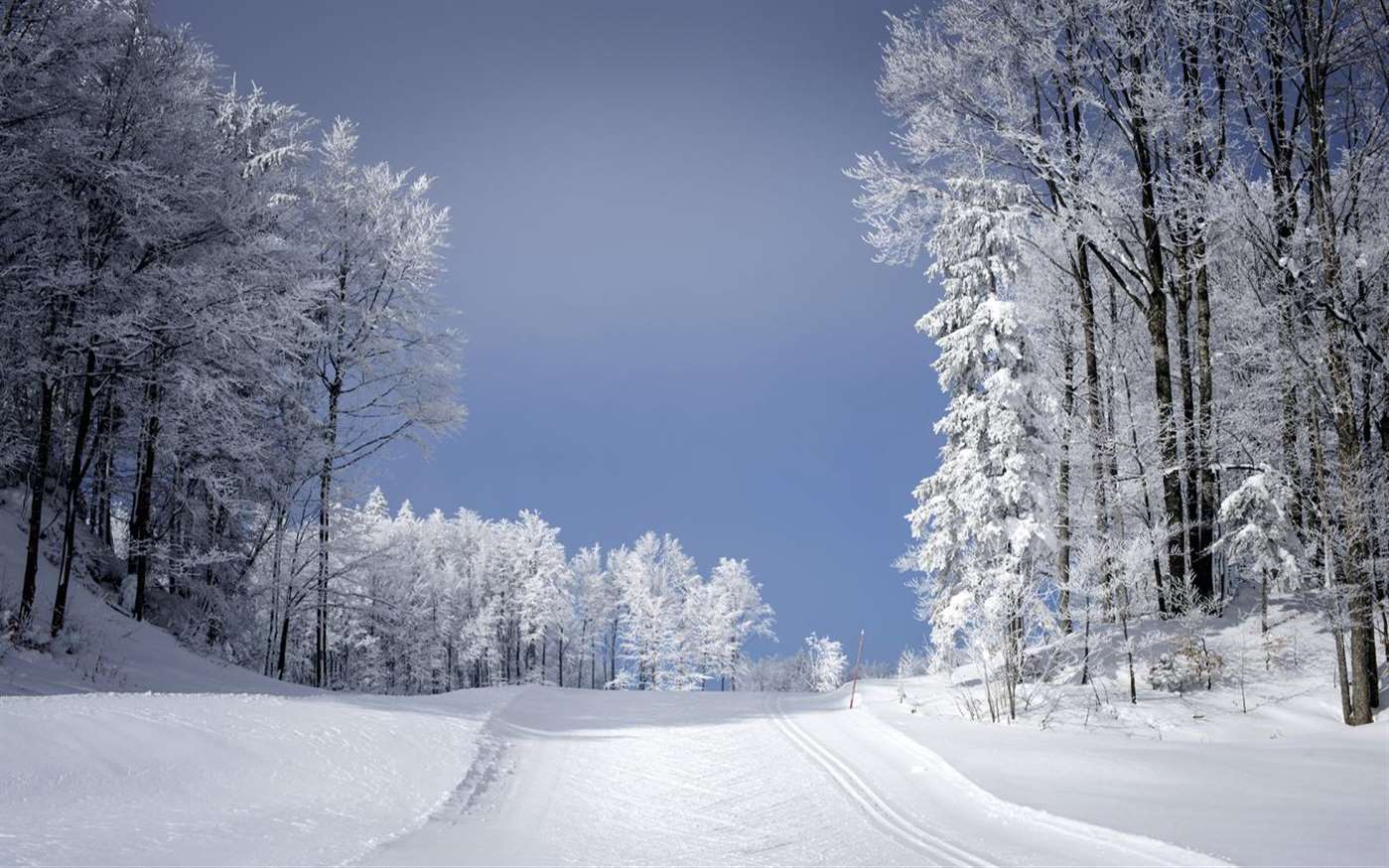 微软又发三款Win 10壁纸包：雨伞/滑雪/春天艺术