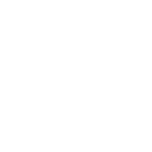 Accounting Book