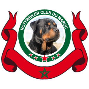 Rottweiler Club du Maroc