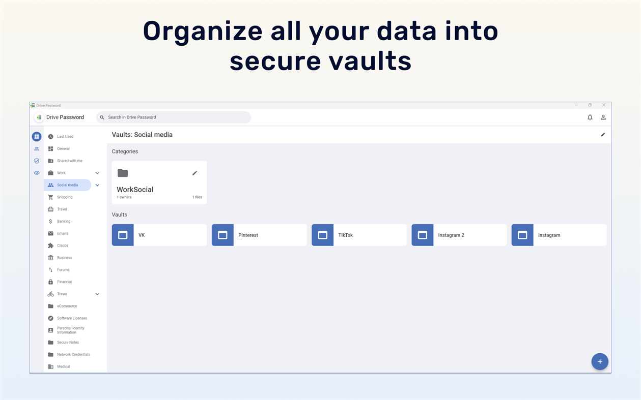 #6. DrivePassword - Password Manager (Windows) 来自: Promotino Ltd.